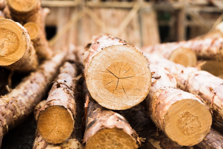 Tradition in Holz – mit Blick nach vorne